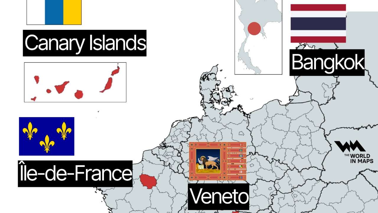 WhatsApp Image 2026-02-19 at 13.42.31