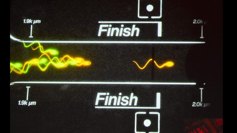 Screenshot 2025-04-26 at 21.27.37