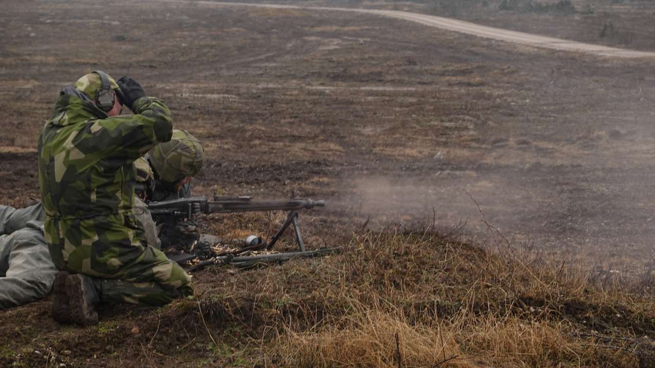 FILE PHOTO: The Gotland regiment trains in a wood outside Visby on the Baltic island of Gotland