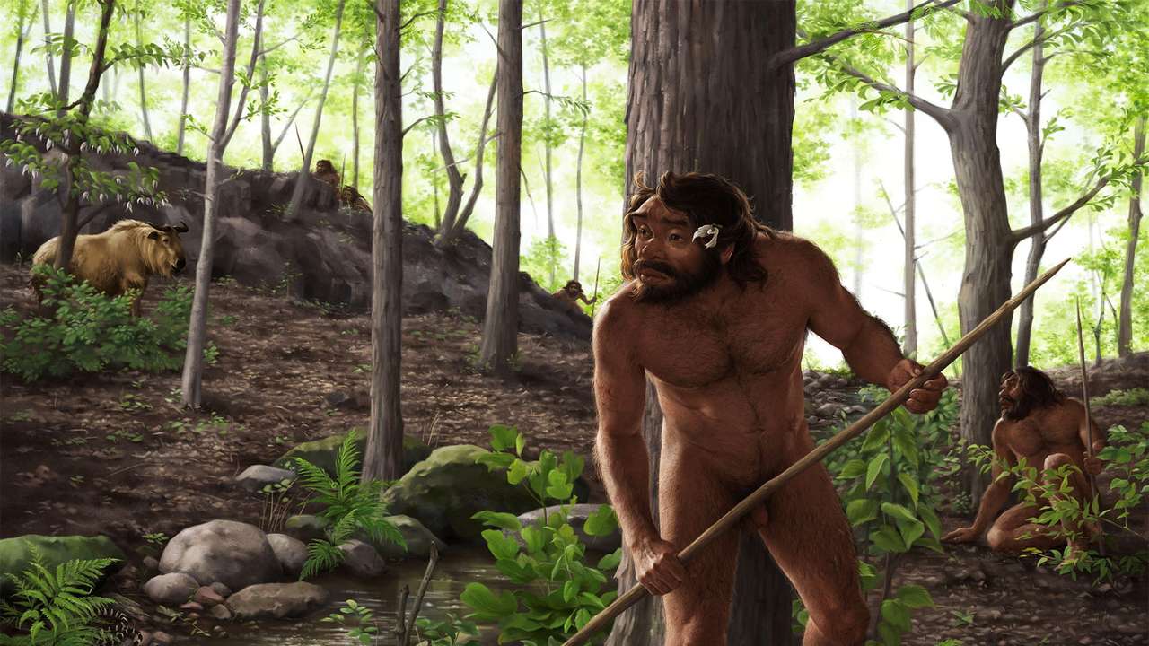 Deformed ancient skull from China offers insight into human origins