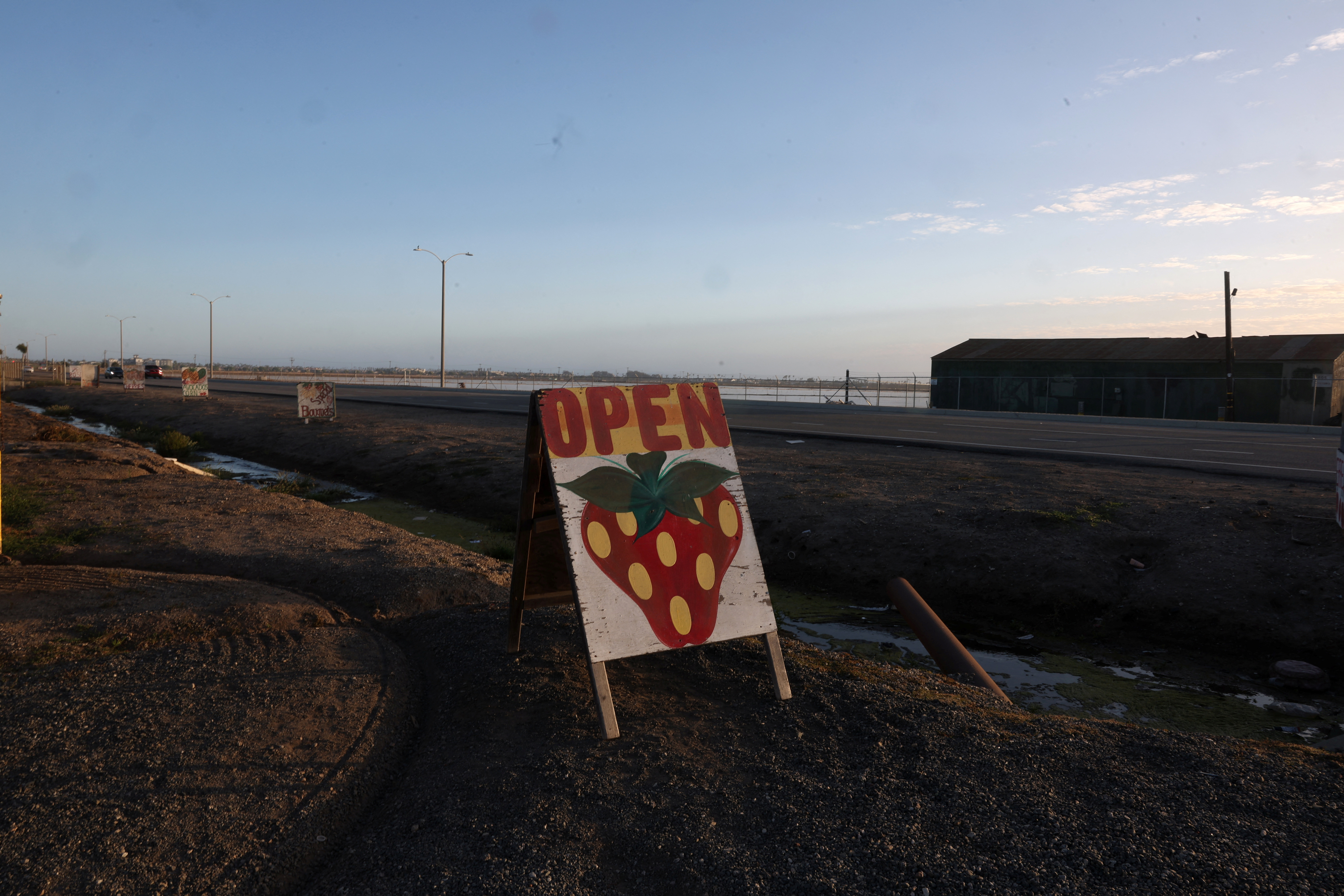 FILE PHOTO: A sign advertising strawberries stands on a roadside, near fields in Oxnard, California