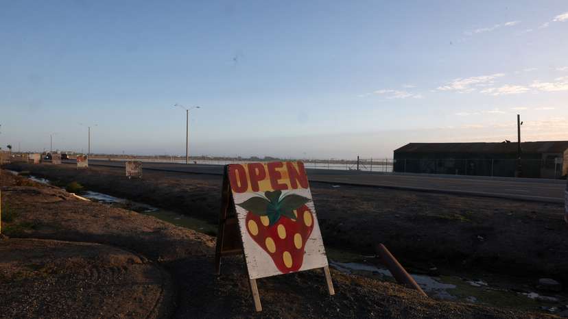 FILE PHOTO: A sign advertising strawberries stands on a roadside, near fields in Oxnard, California