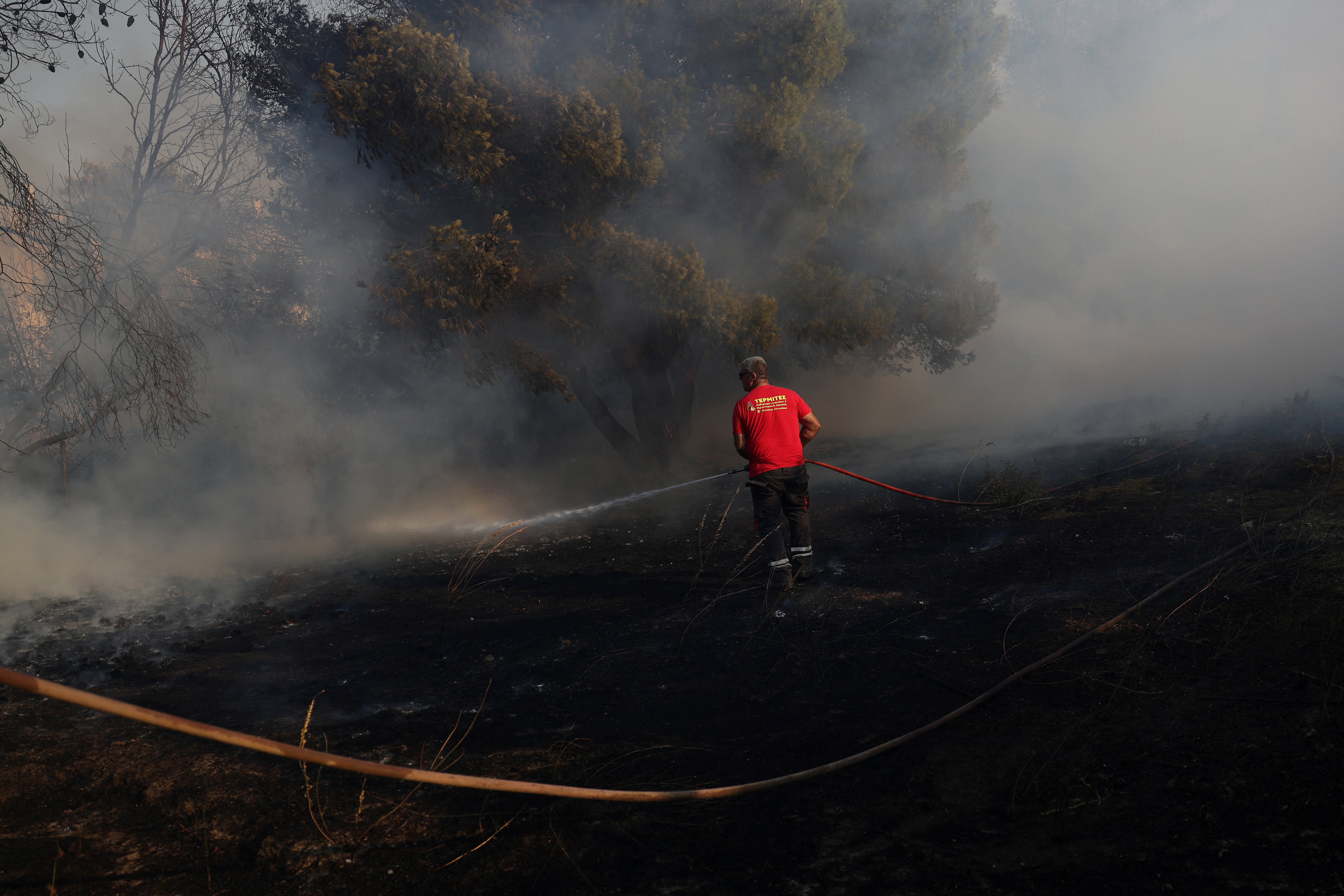 Wildfire burns in Anavyssos, near Athens