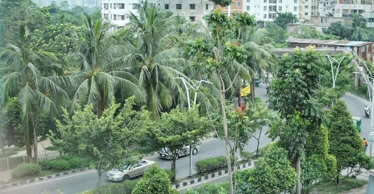 Bangladesh Forest file