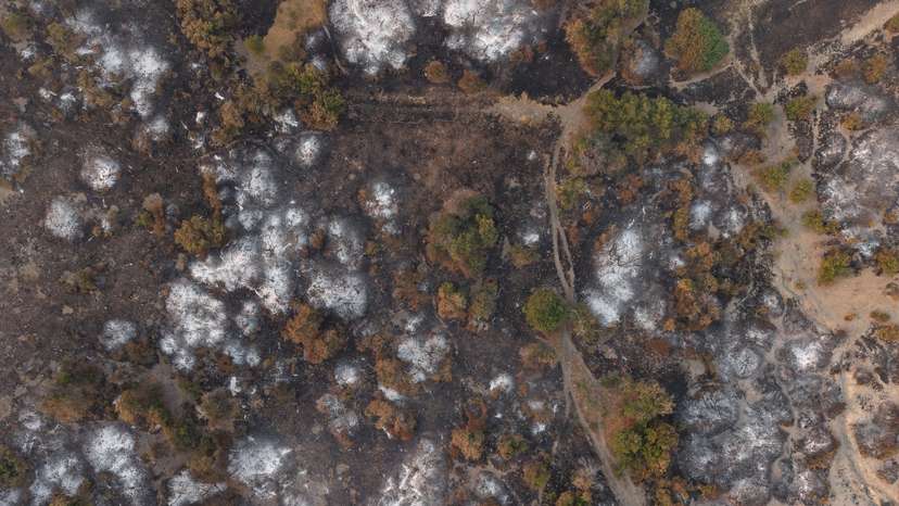 Argentina declares fire emergency as wind threatens Patagonia containment efforts