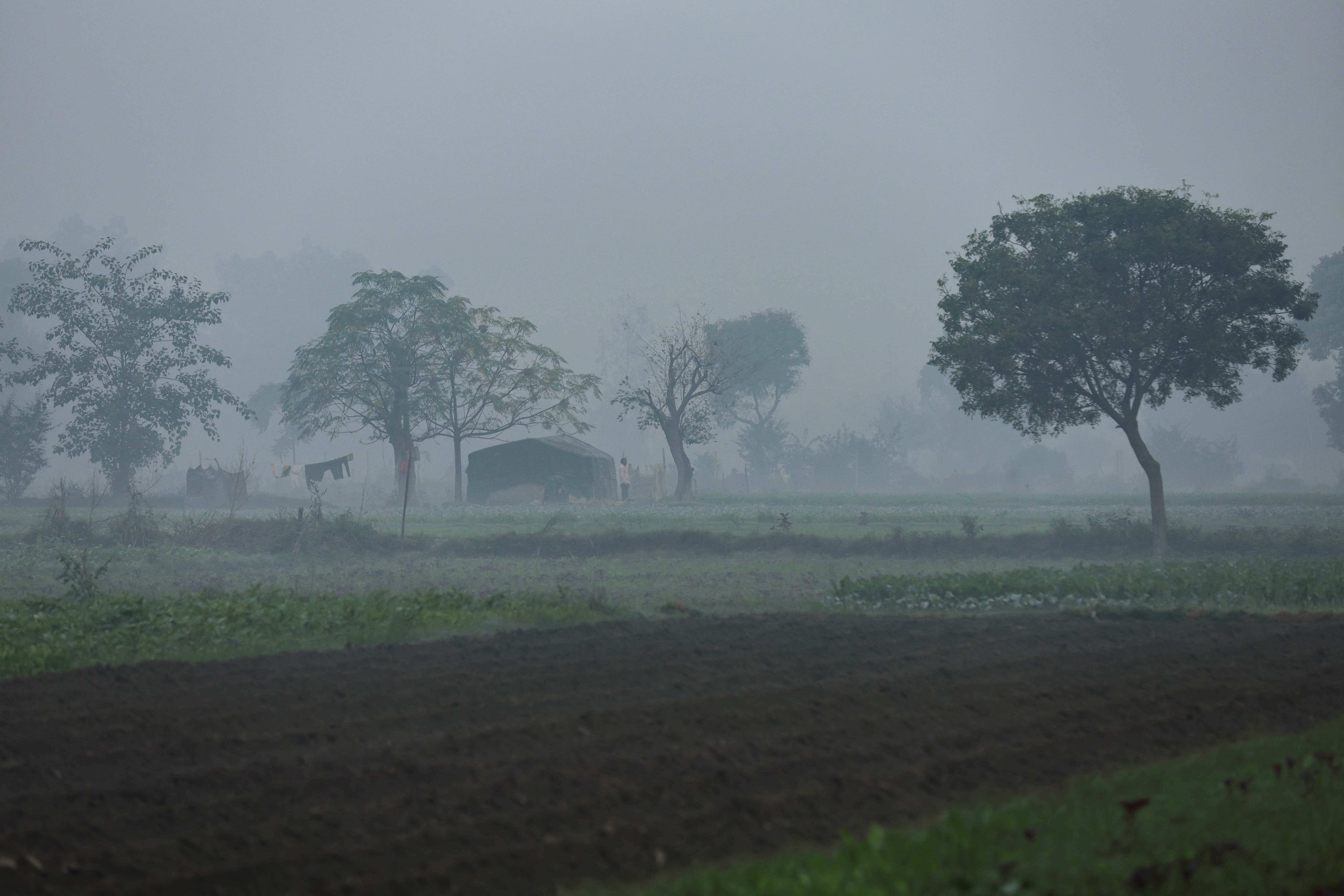 A man is seen on the field on the Yamuna floodplains on a smoggy morning in New Delhi