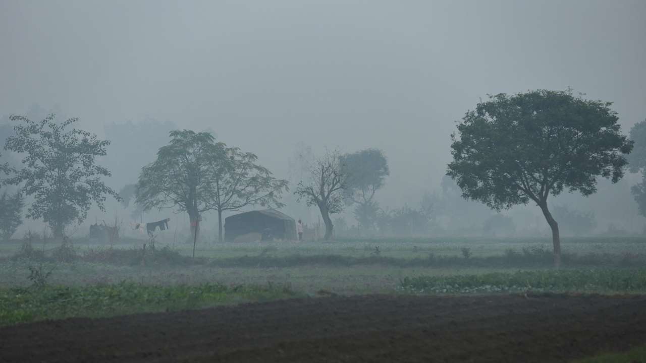A man is seen on the field on the Yamuna floodplains on a smoggy morning in New Delhi