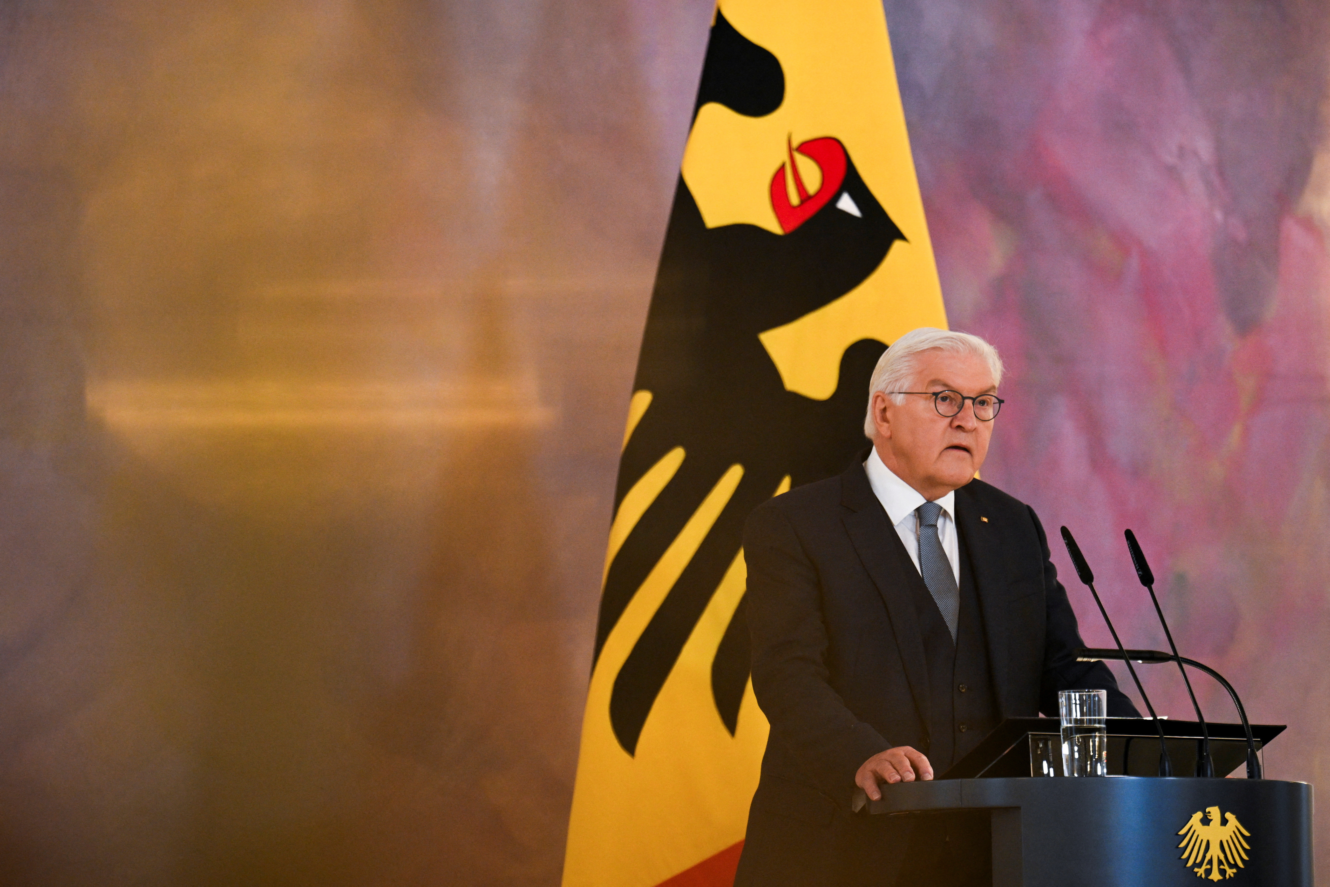 German President Steinmeier announces 2025 snap election, in Berlin
