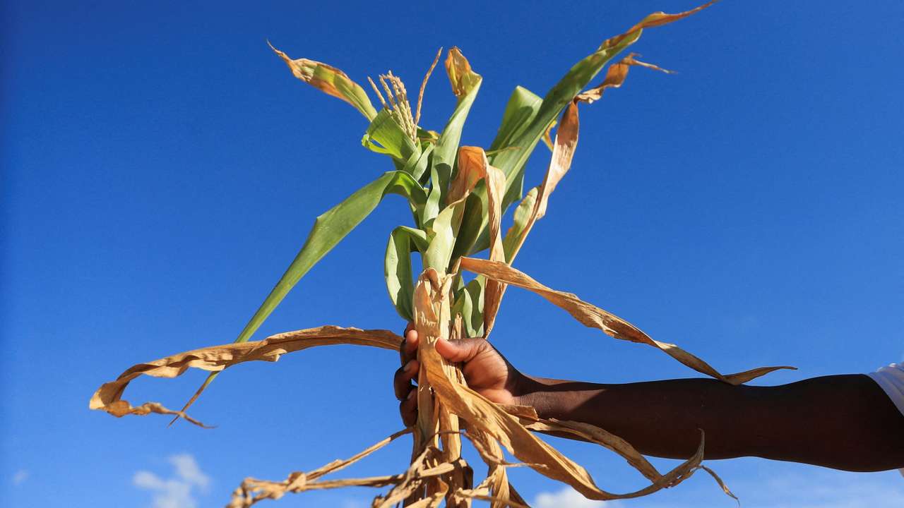 Villagers collecting food aid in rural Zimbabwe