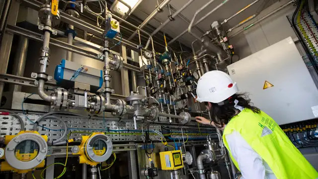 Egypt’s $83 billion green hydrogen dream hits ‘bankability wall’