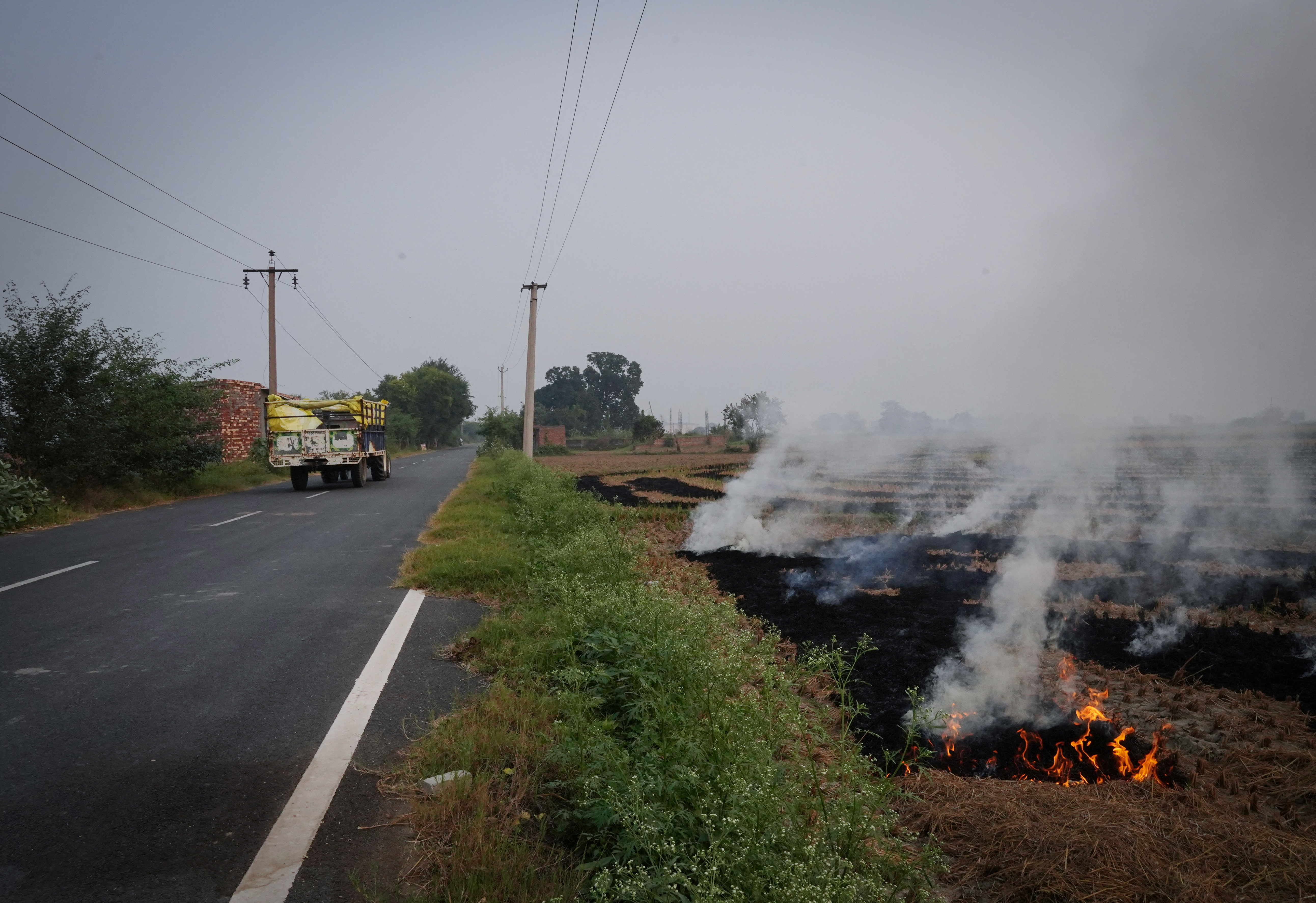 Farmers burn stubble in a rice field in Karnal