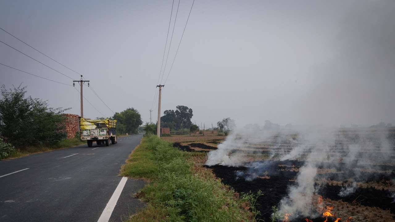 Farmers burn stubble in a rice field in Karnal