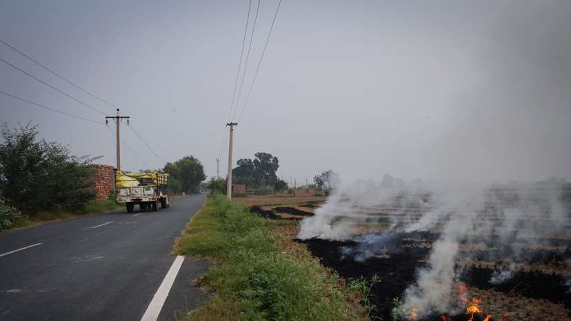 Farmers burn stubble in a rice field in Karnal