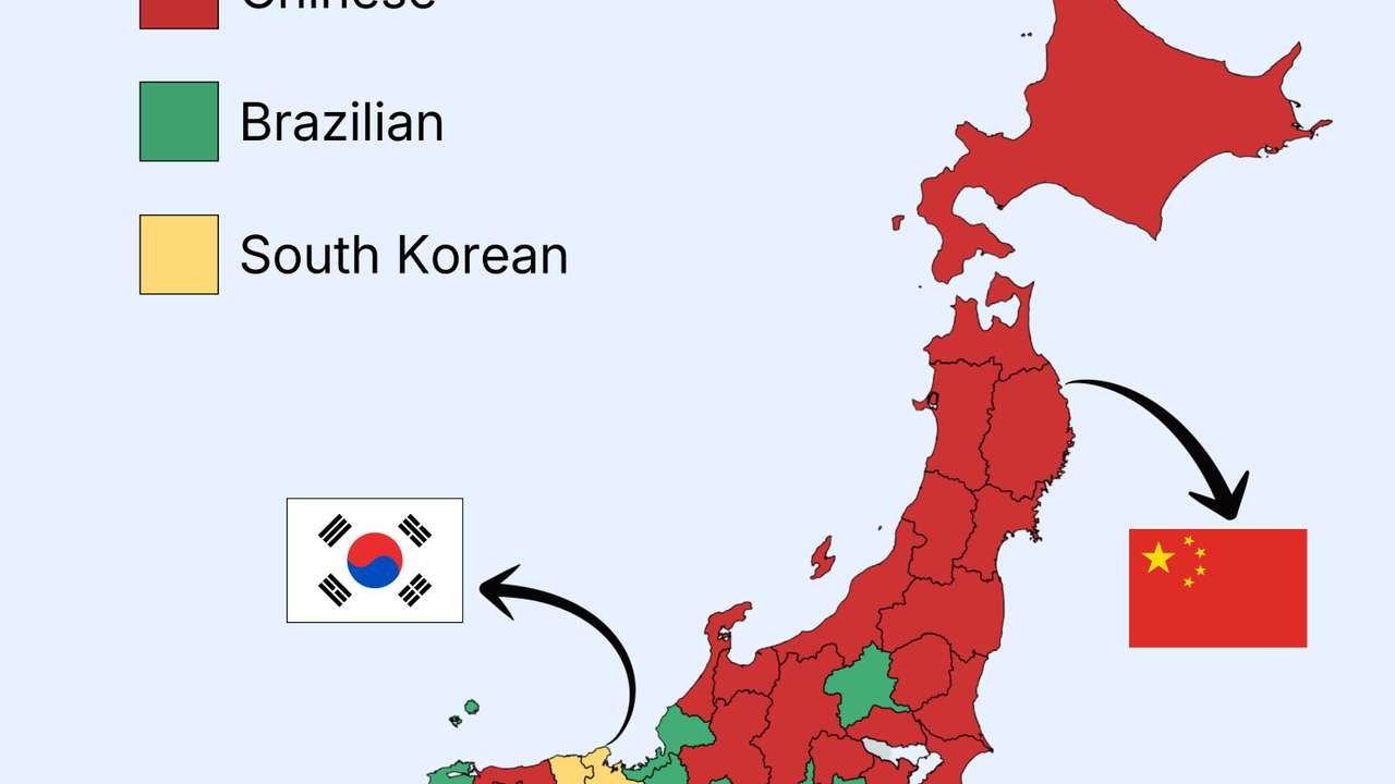 WhatsApp Image 2026-02-15 at 09.22.24