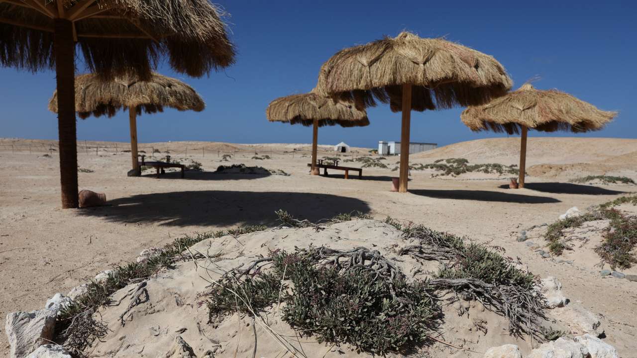 Umbrellas at Ras Hankorab beach at southern Egypt's Red Sea coast in Marsa Alam