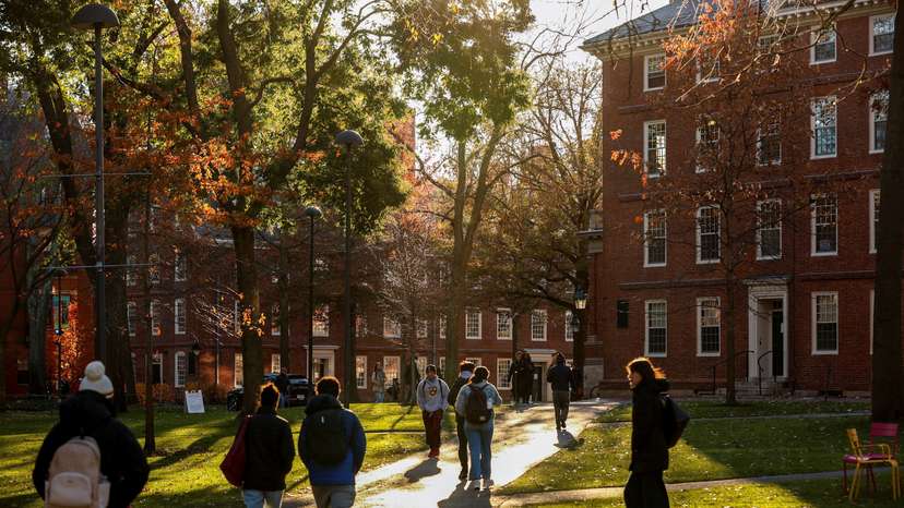 Students walk on the Harvard campus