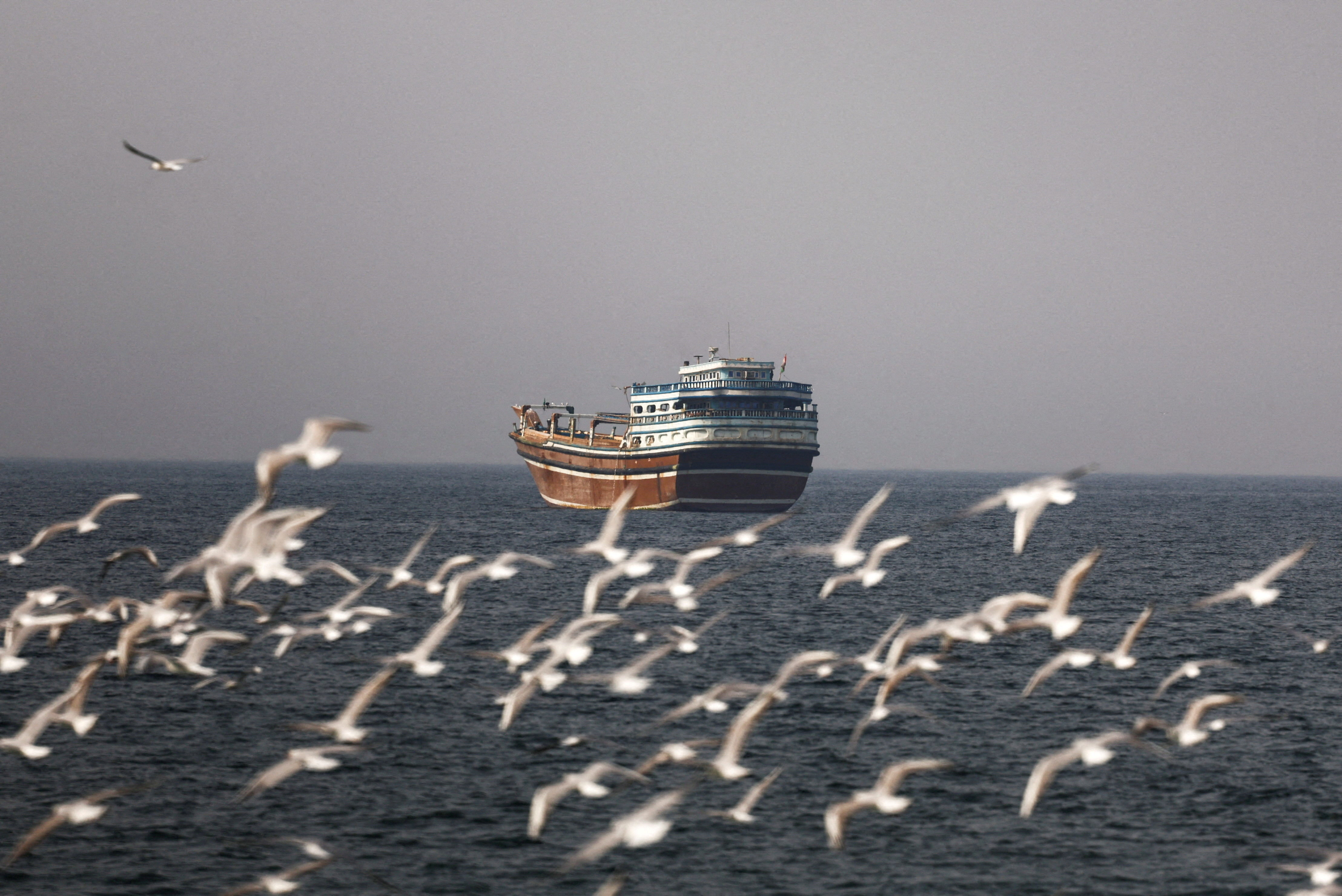 Birds fly near a boat in the Strait of Hormuz amid the U.S.-Israeli conflict with Iran, as seen from Musandam