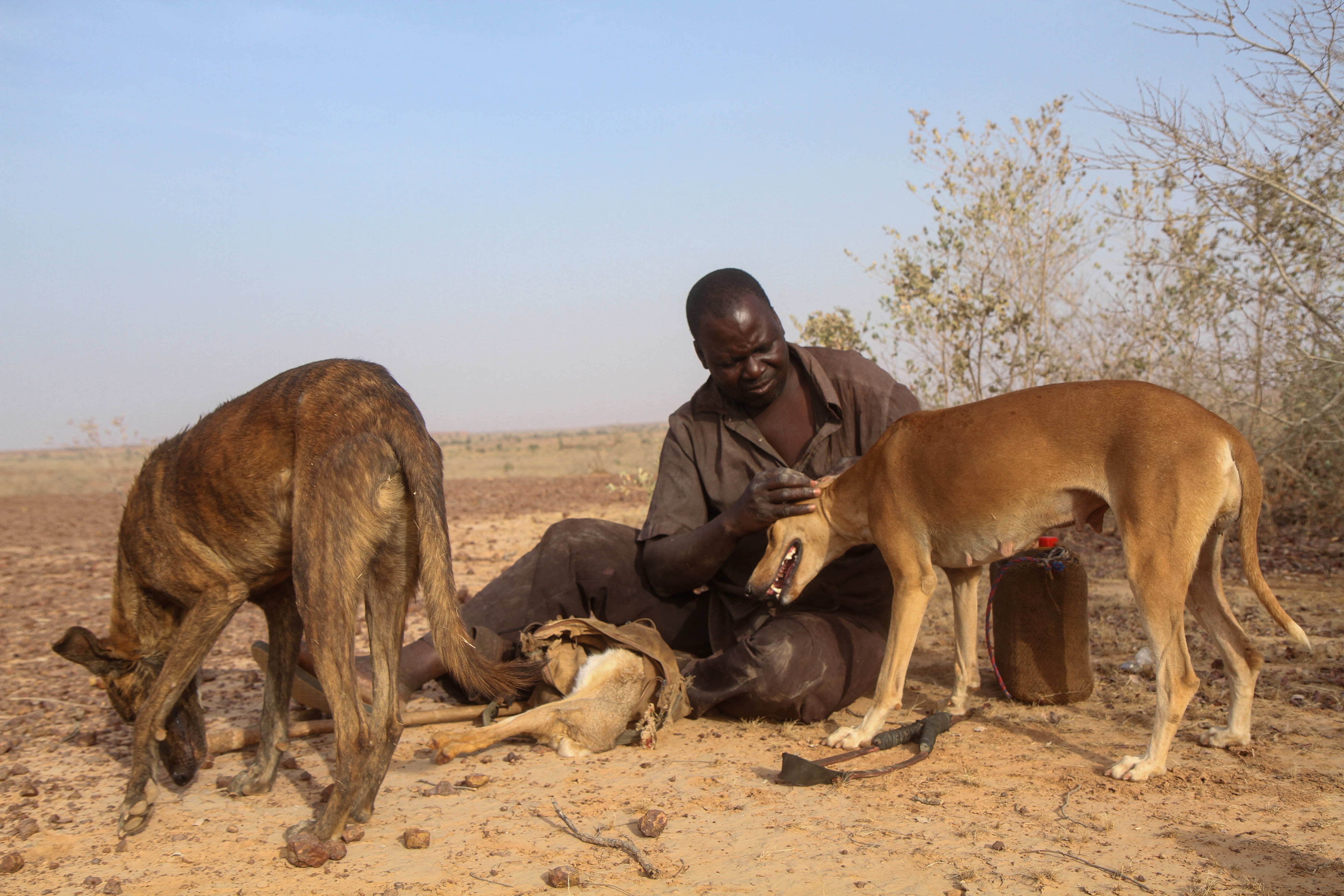 Abdou Kouda, 53, a Nigerien hunter takes a break with his hunting dogs during a day of hunting in Gasalbodi, in the countryside near Niamey