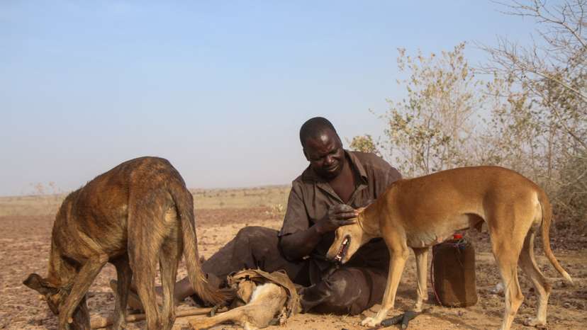 Abdou Kouda, 53, a Nigerien hunter takes a break with his hunting dogs during a day of hunting in Gasalbodi, in the countryside near Niamey