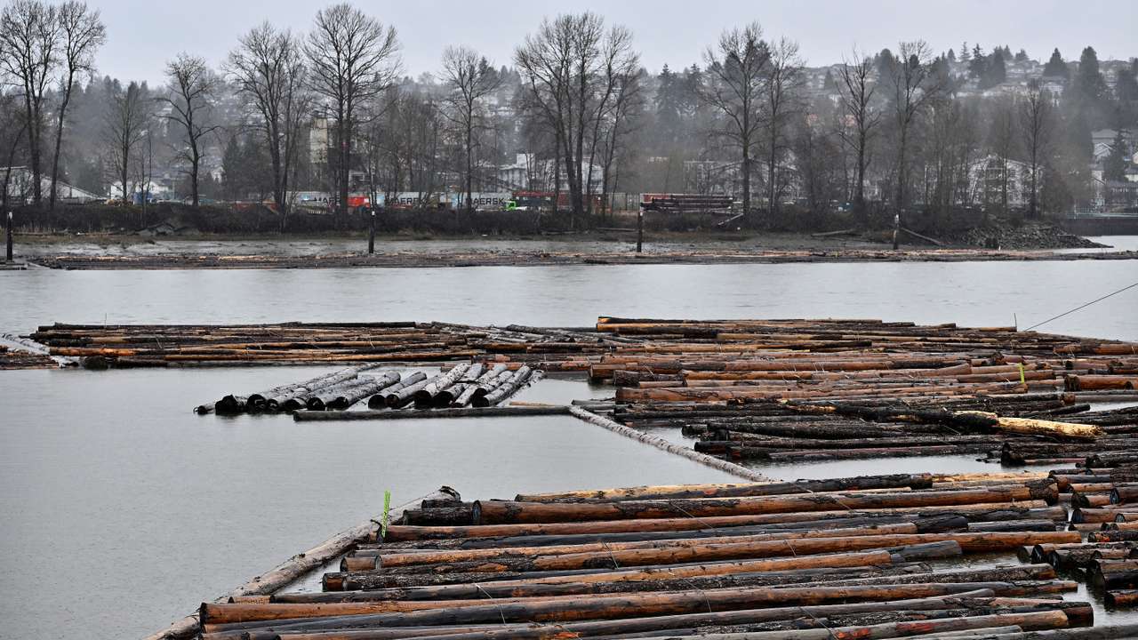 Trump triggers trade war with tariffs on Canada, Mexico and China