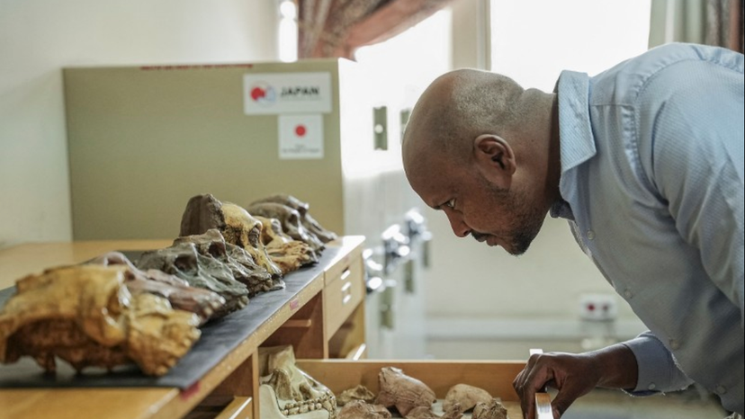 Screenshot 2024-11-21 at 10.13.11