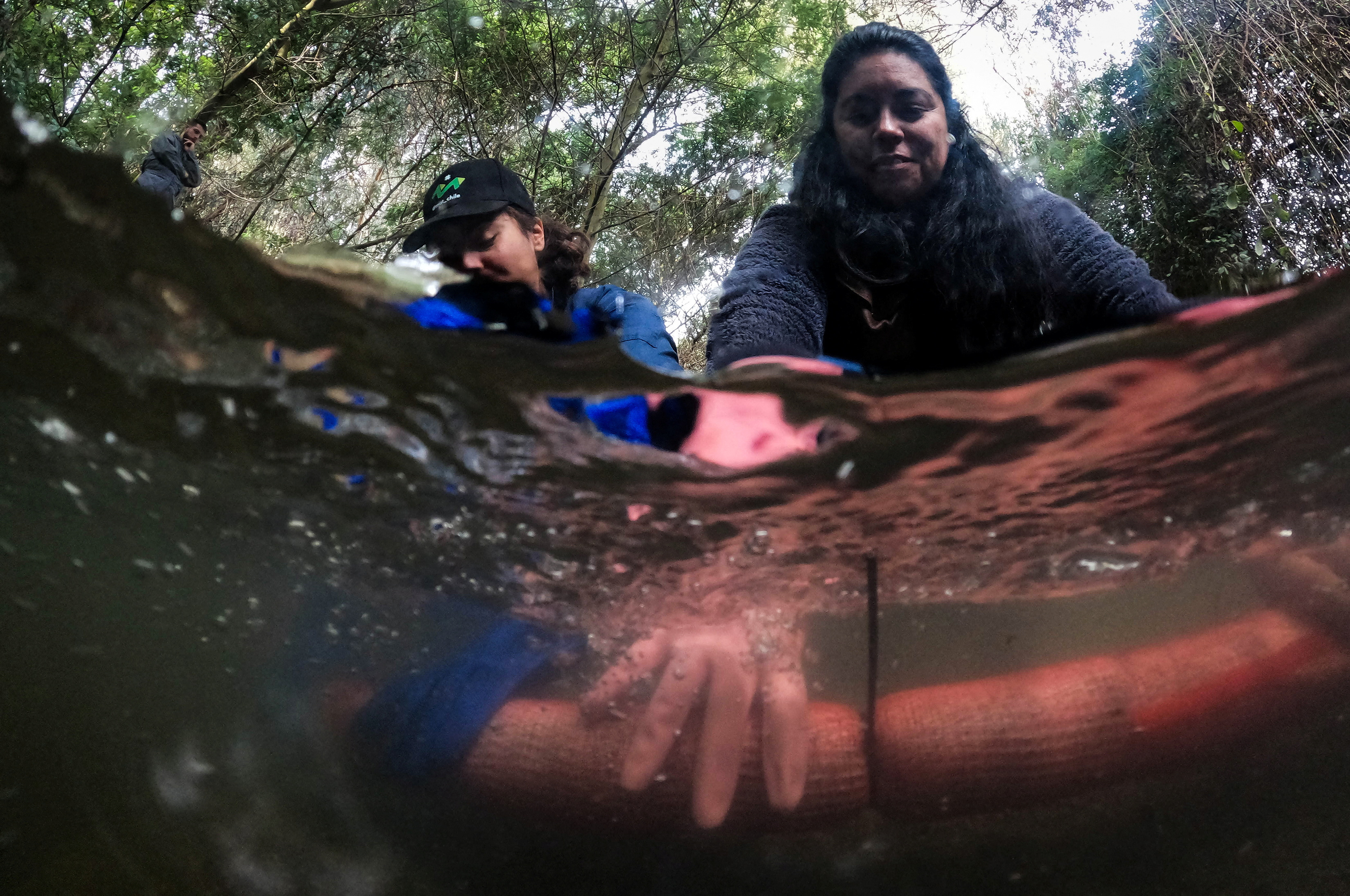 Group uses human and animal hair to clean waterways of oils, heavy metals, and even bacteria, in Chile
