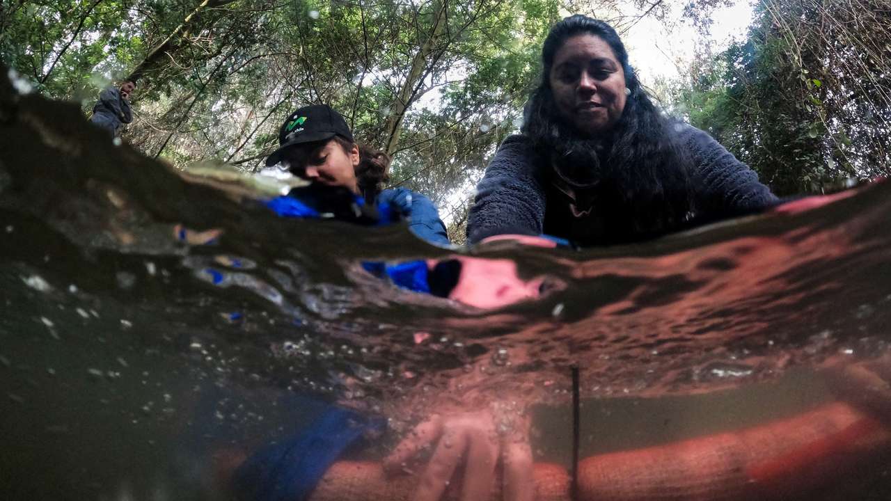 Group uses human and animal hair to clean waterways of oils, heavy metals, and even bacteria, in Chile