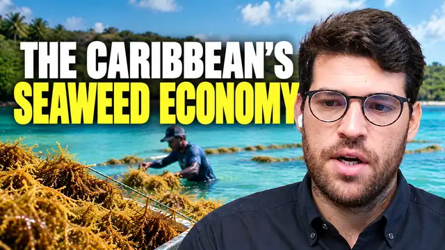 From seaweed crisis to a Caribbean blue economy