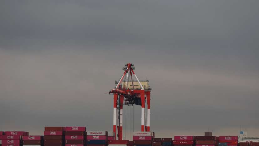 Containers on a cargo ship are seen at an industrial port in Tokyo