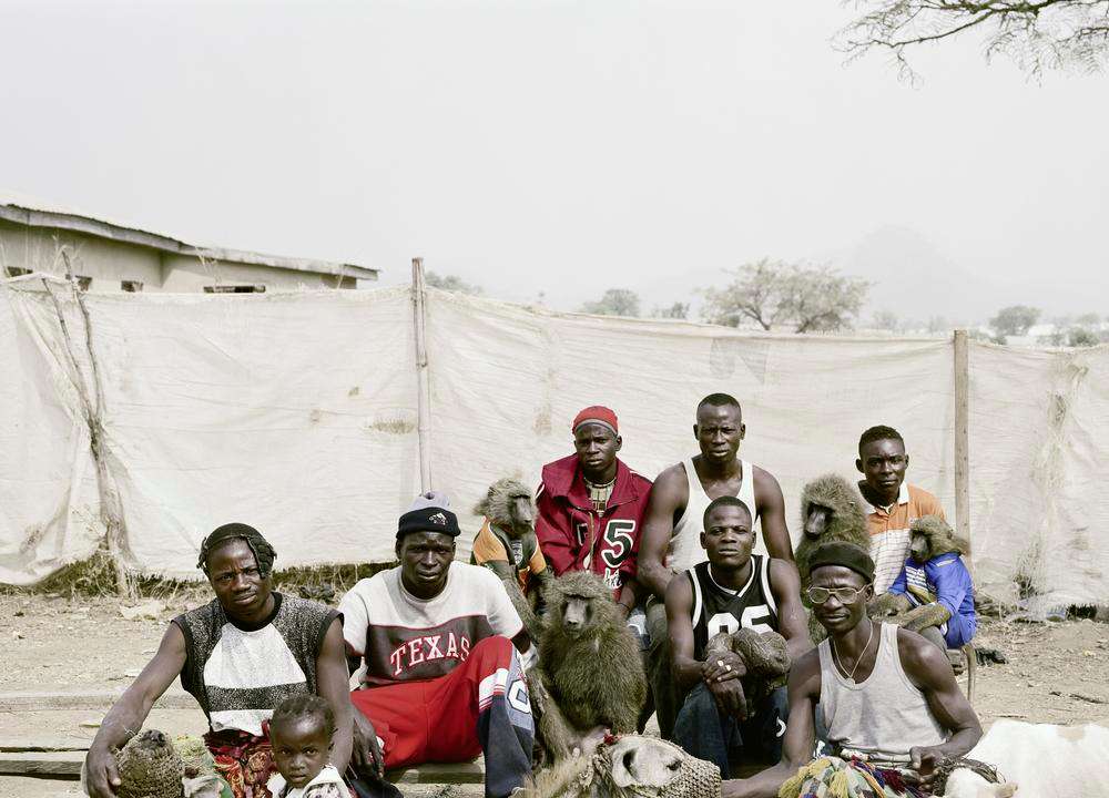 The Hyenas and the men