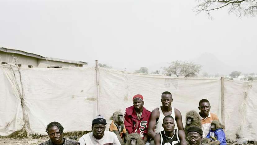 The Hyenas and the men