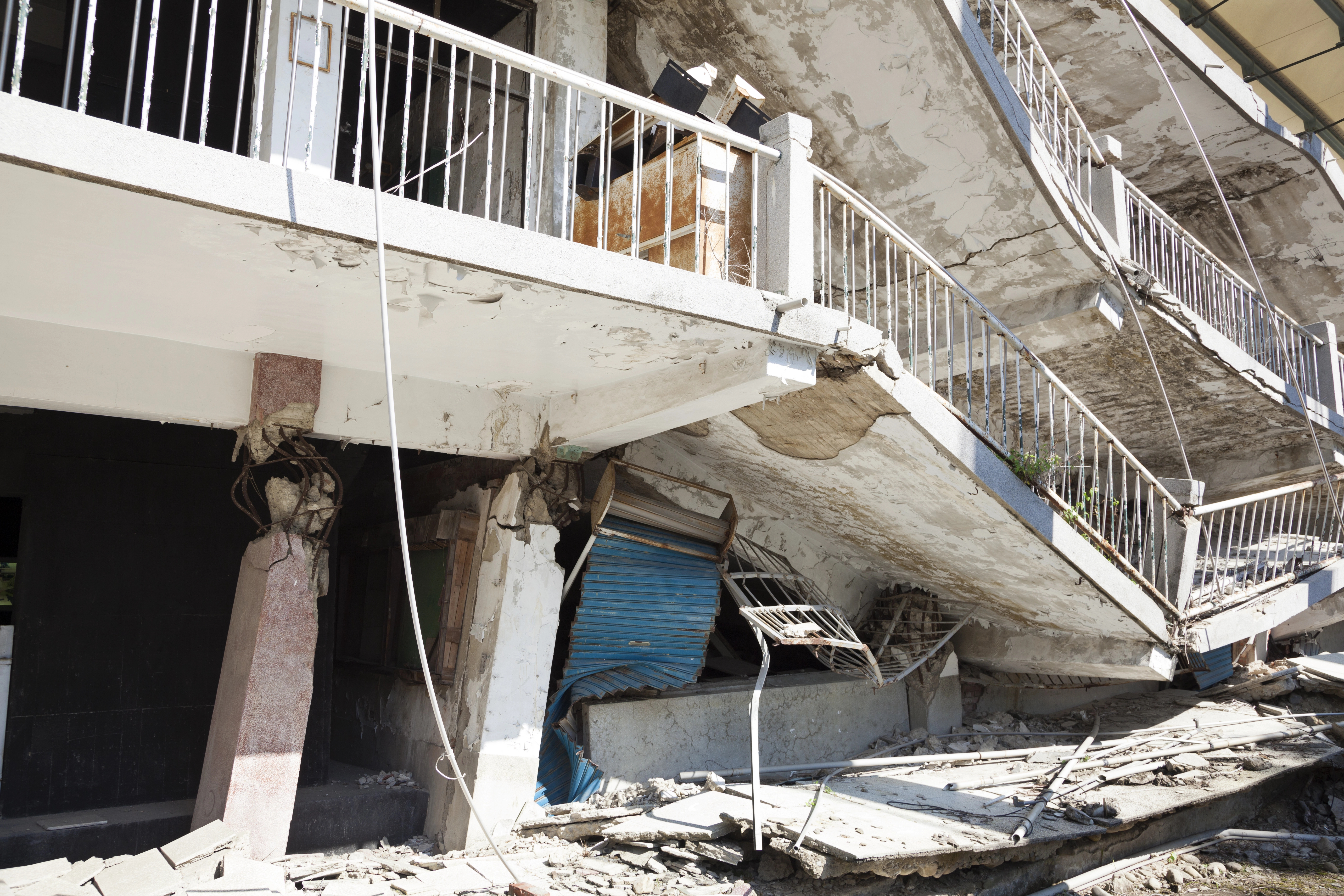 Miracle dog survives Venezuela quake