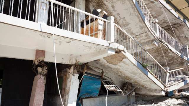 Miracle dog survives Venezuela quake