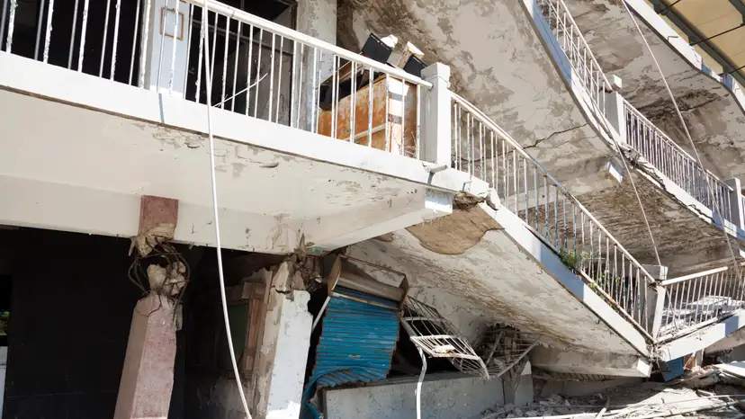 Miracle dog survives Venezuela quake