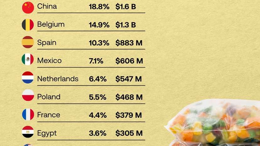SnapInsta.to_584430112_17929929513119481_2112236847251088188_n
