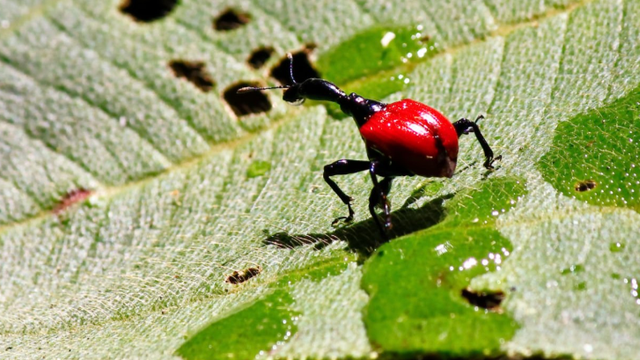 Screenshot 2024-05-25 164936