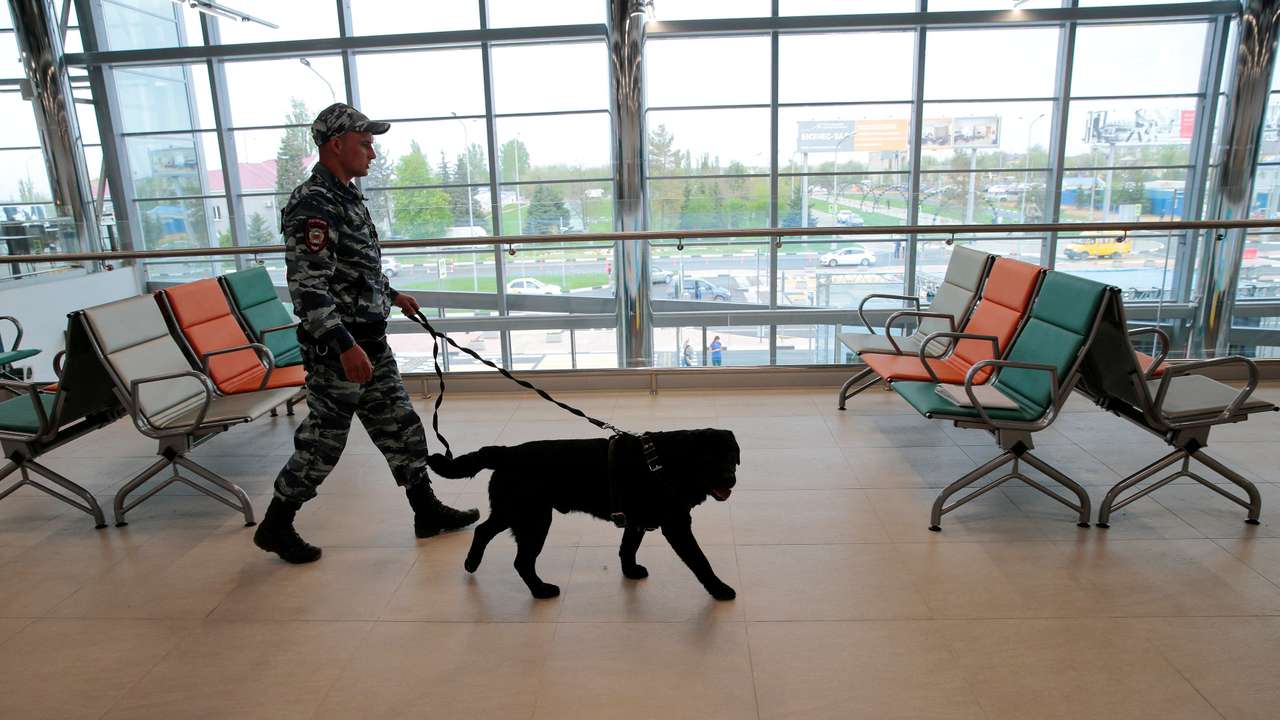 FILE PHOTO: A policeman with a dog walks at Volgograd International Airport