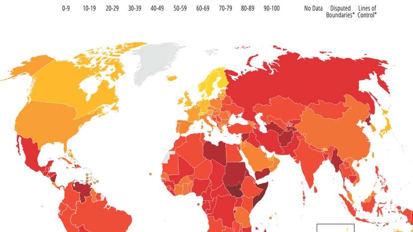 WhatsApp Image 2026-02-12 at 10.02.36