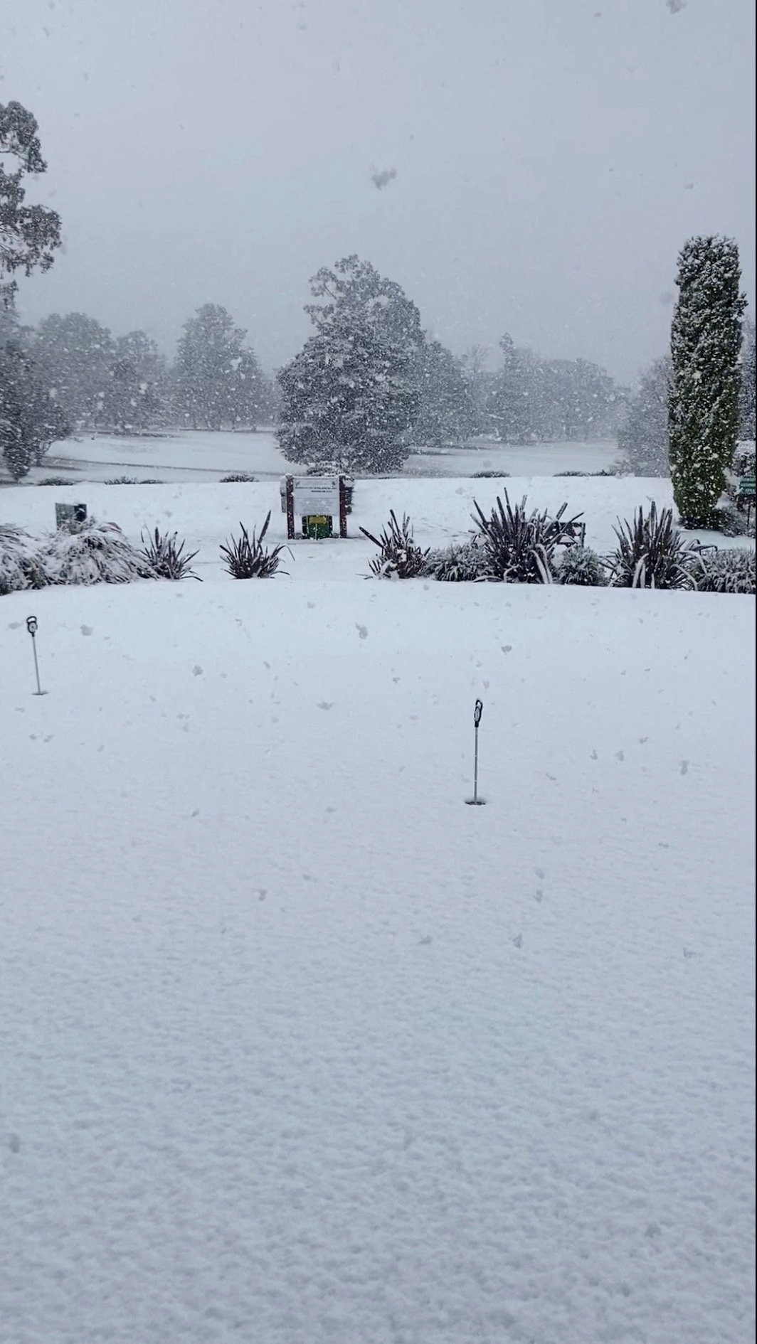 Snow blankets the grass at a Golf Club, in Armidale