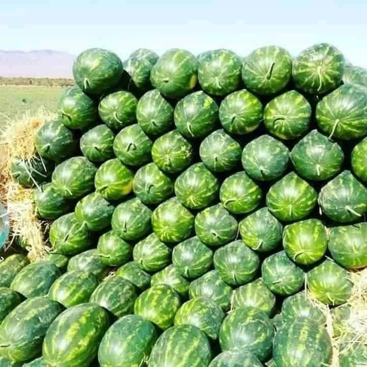 154829541_114135397356894_4337117971159531518_n