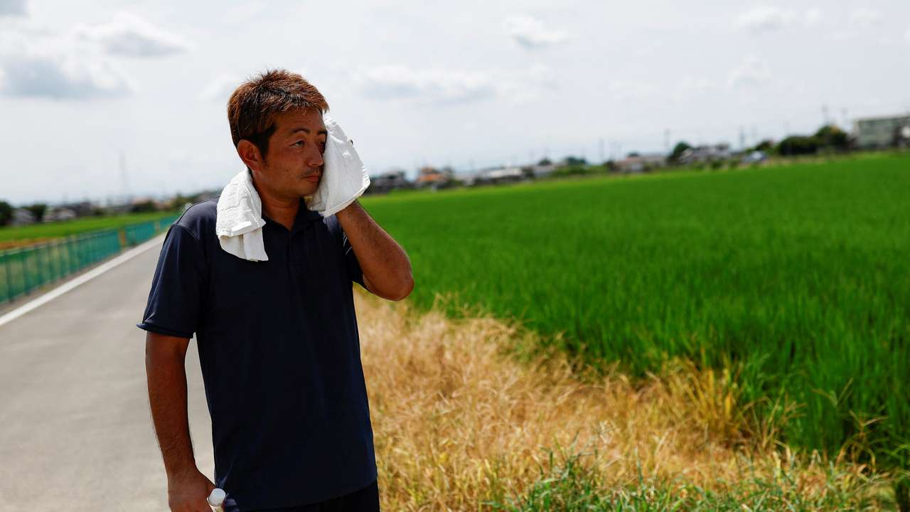 Aging Japanese farmers dread heatroke as temperatures soar