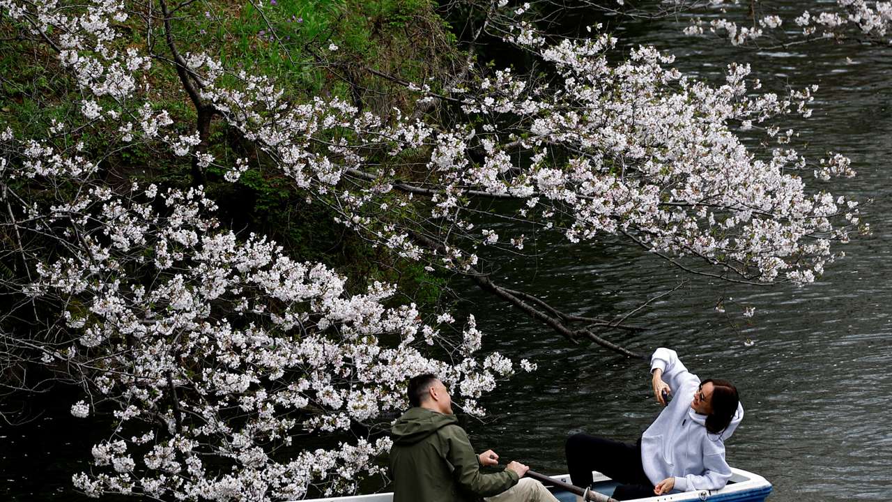 FILE PHOTO: Tourists ride a boat next to cherry blossoms at Chidorigafuchi Park in Tokyo