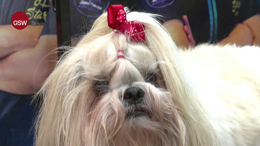 vlcsnap-2024-10-09-12h02m19s795