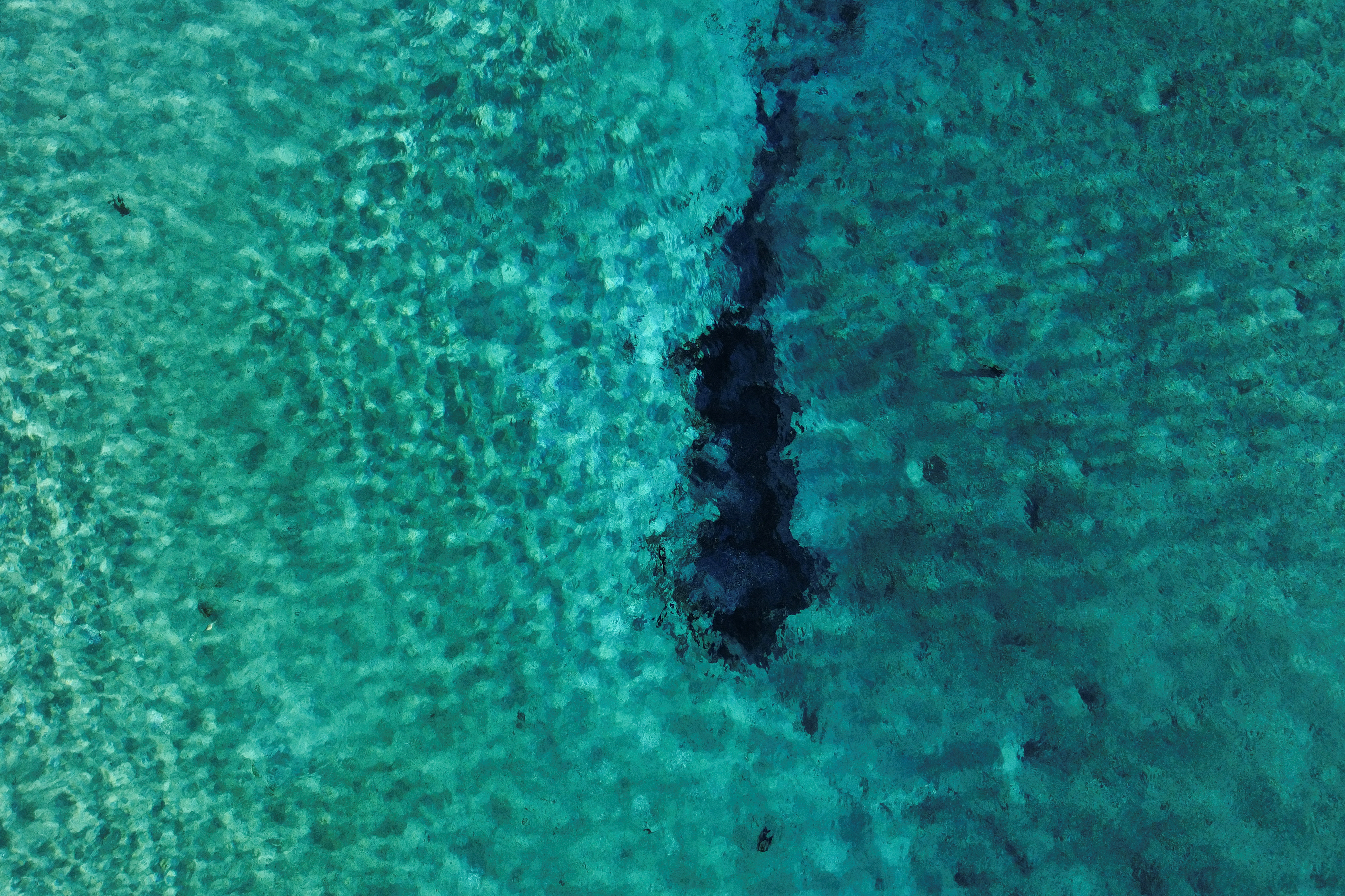Water is disappearing from Mexico's vital desert oasis Cuatro Cienegas