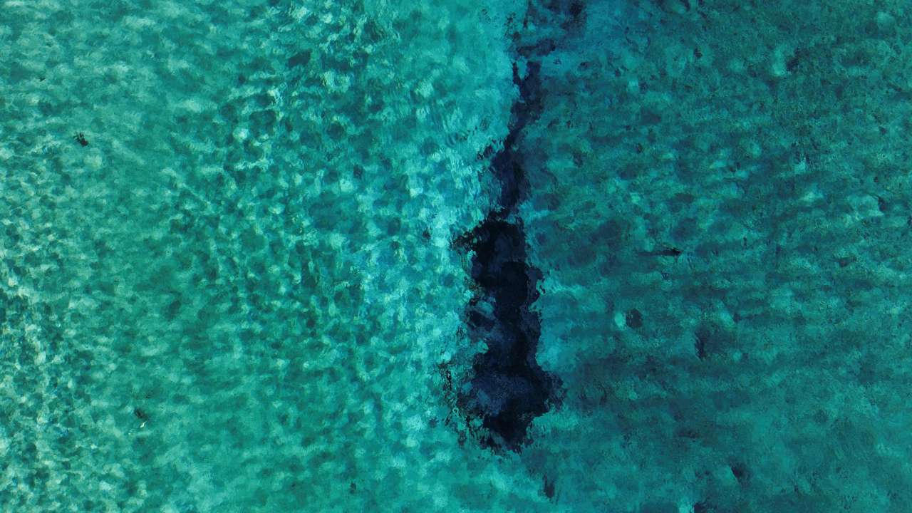 Water is disappearing from Mexico's vital desert oasis Cuatro Cienegas