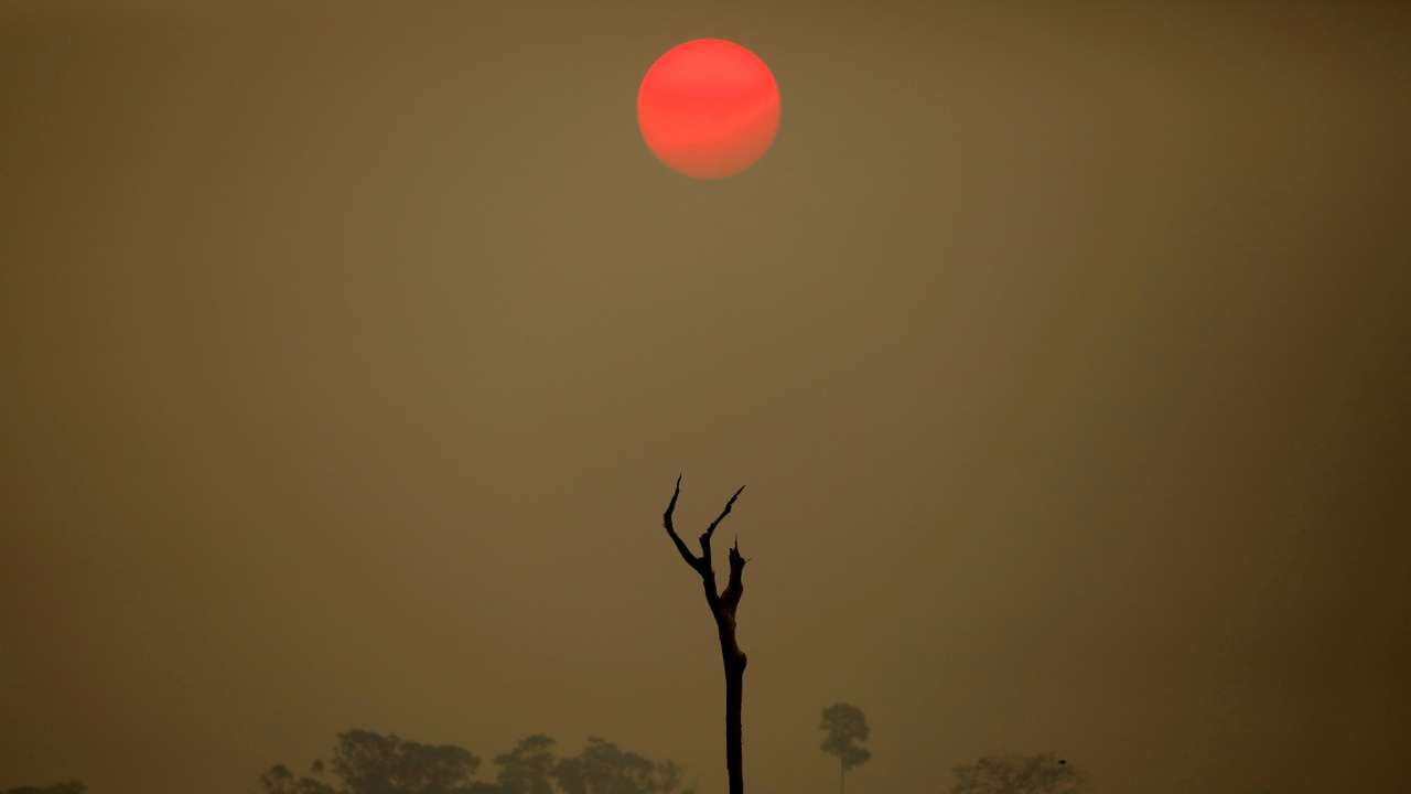 FILE PHOTO: A view of a deforested area at the National Forest Bom Futuro in Rio Pardo