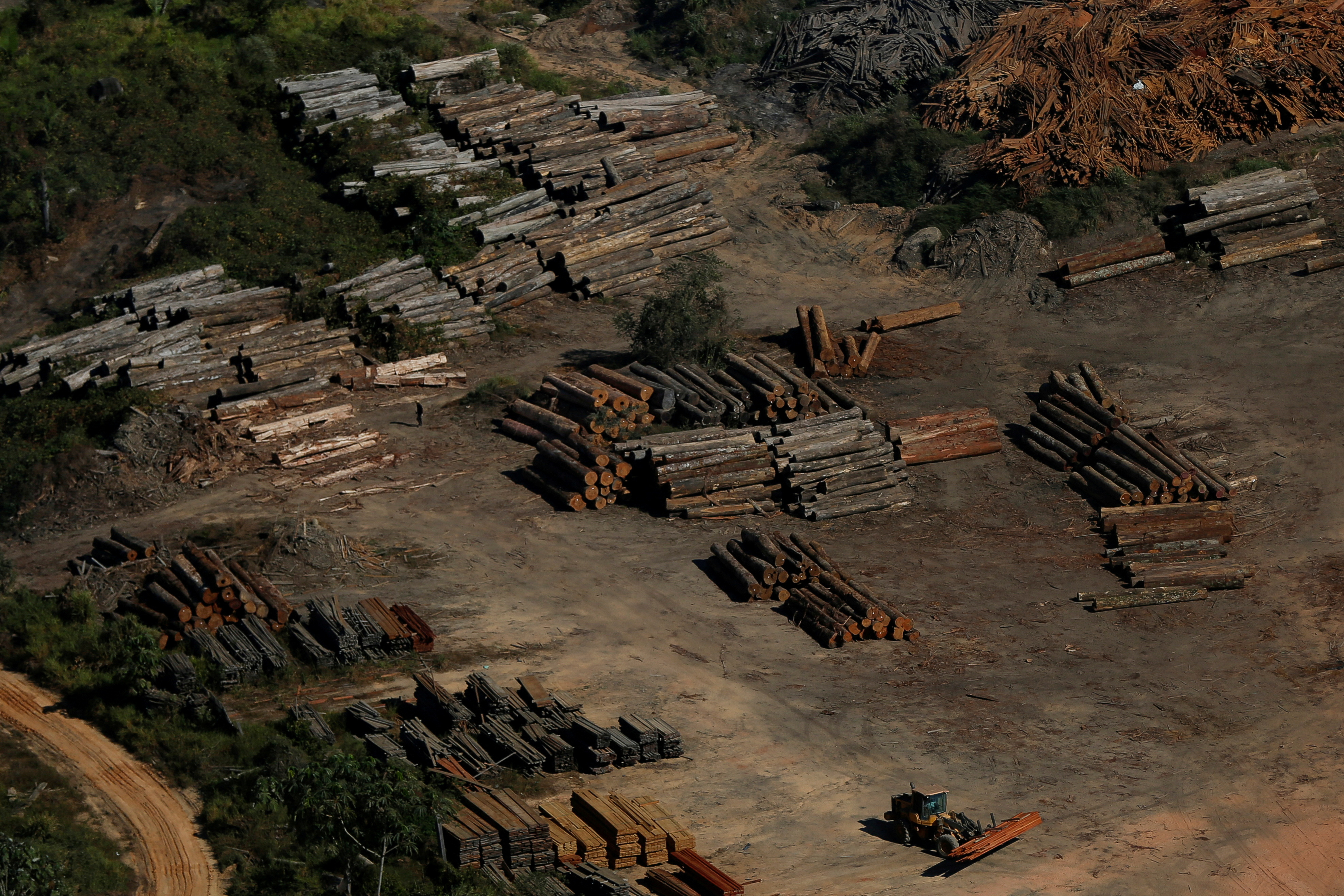 FILE PHOTO: The Wider Image: Battling deforestation in the Amazon