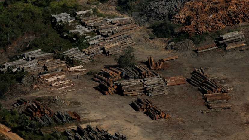 FILE PHOTO: The Wider Image: Battling deforestation in the Amazon