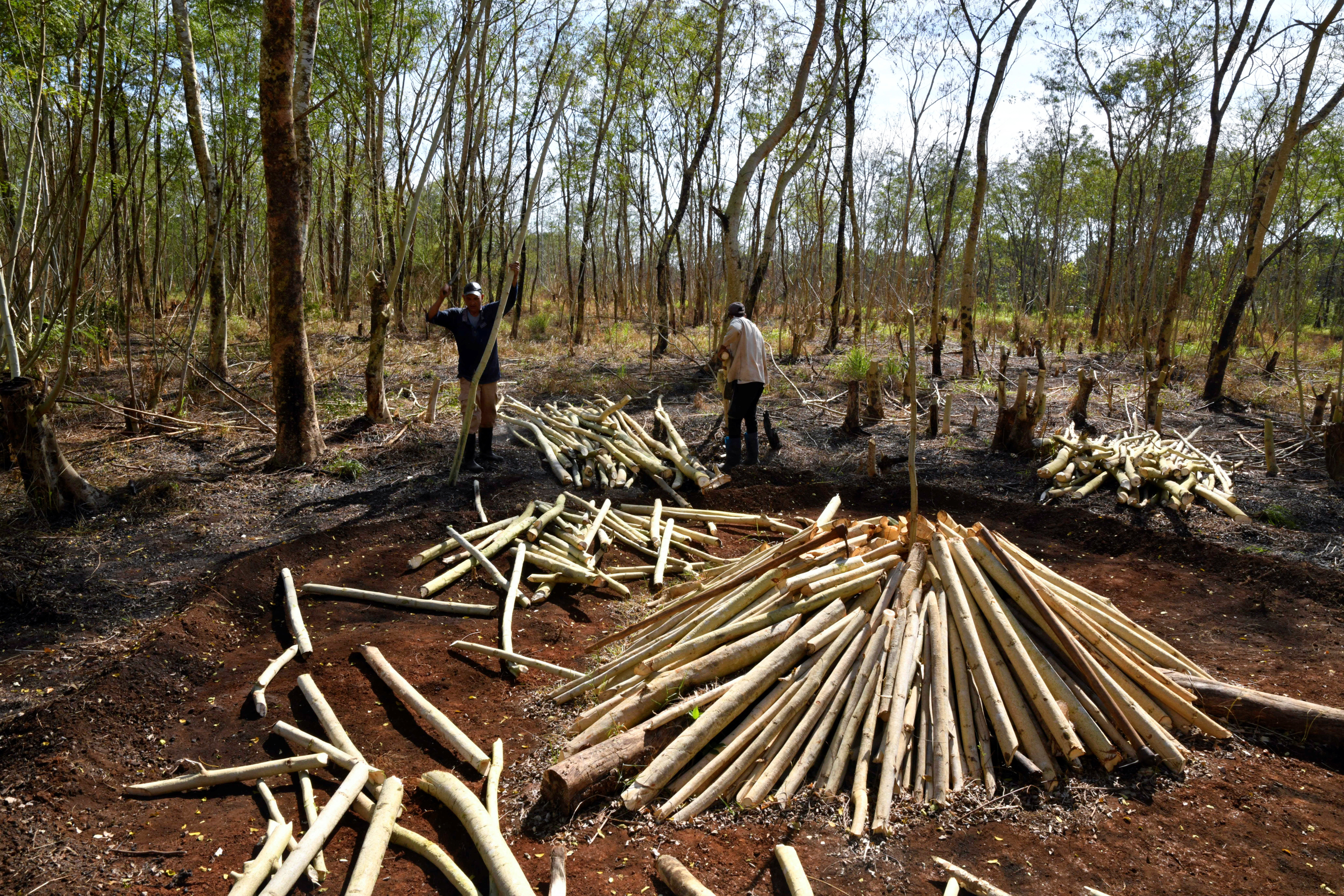 Cubans rely on charcoal to cook in rural community to endure long power outages
