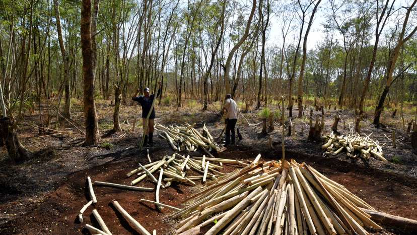 Cubans rely on charcoal to cook in rural community to endure long power outages